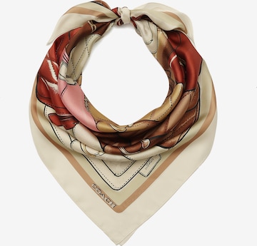 balta COACH Skara 'Stacked Tabby': priekis