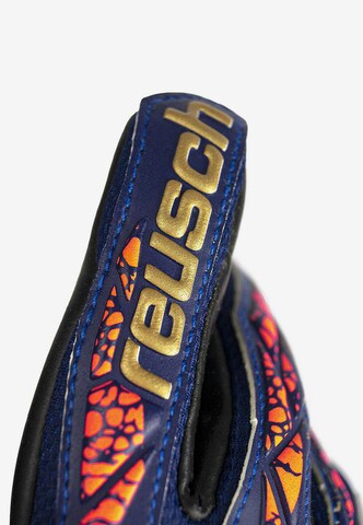 REUSCH Torwarthandschuhe 'Attrakt Gold X Junior' in Blau