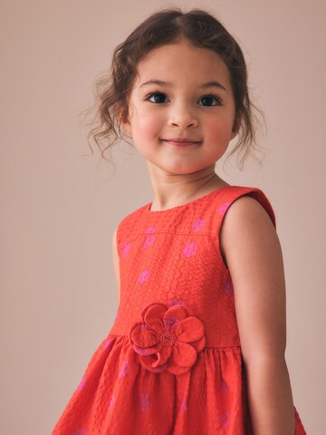 Next Kleid in Orange
