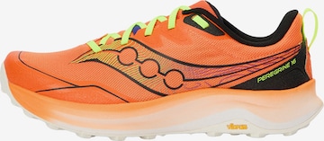 Chaussure de course 'PEREGRINE 16' saucony en orange : devant