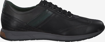 Galizio Torresi Athletic Lace-Up Shoes '314428' in Black