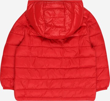 GAP Winterjas in Rood