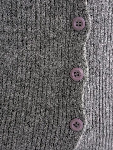 MixRay Gebreid vest in Grijs