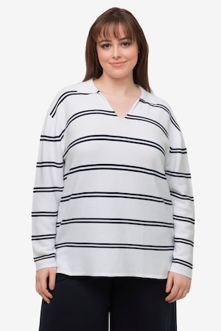 Ulla Popken Pullover in Weiß: predná strana