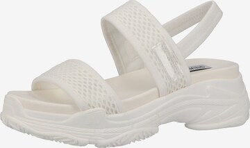 Sandalo con cinturino di STEVE MADDEN in bianco: frontale