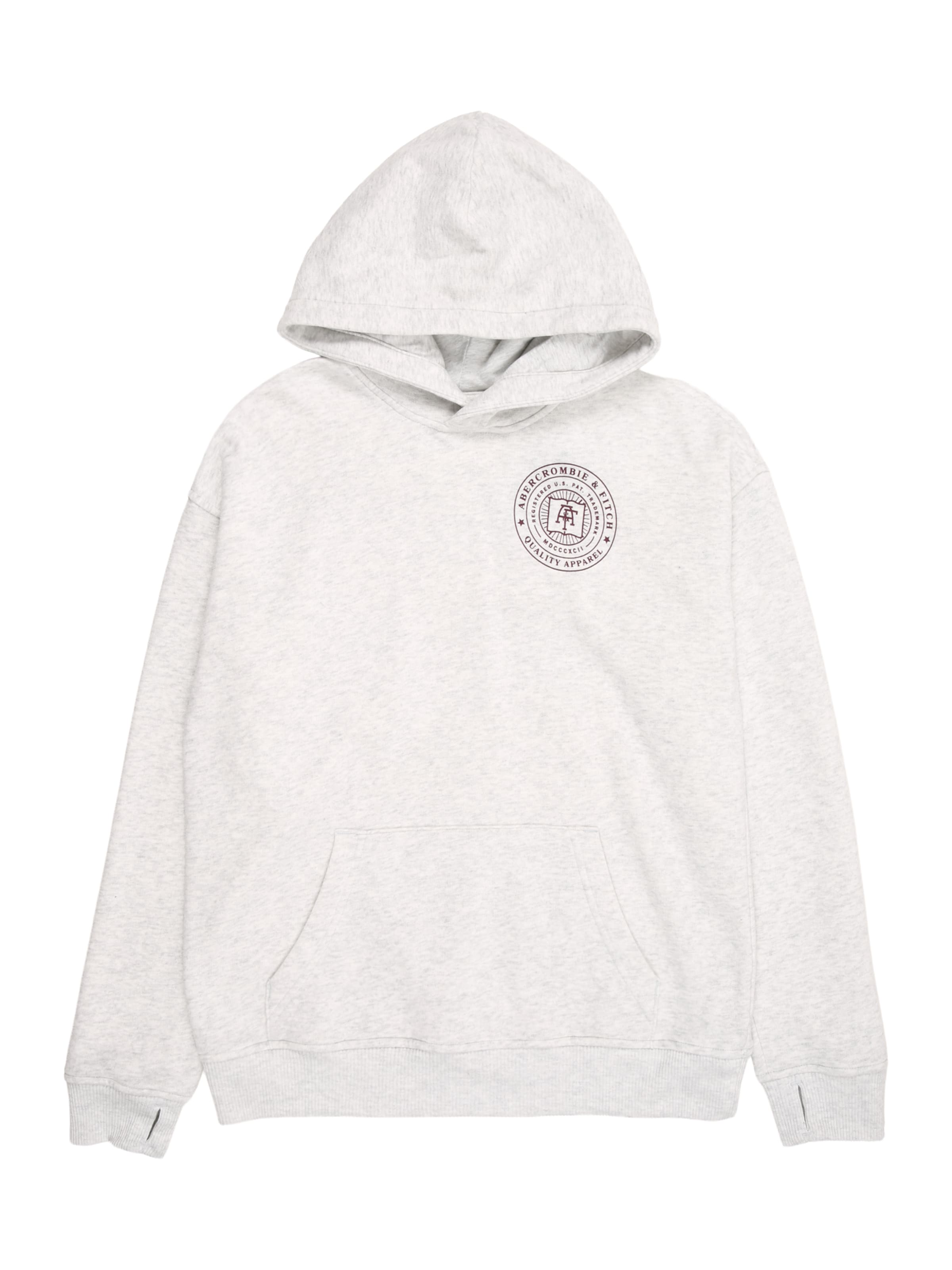 Abercrombie & Fitch Свитшот в Серый: спереди