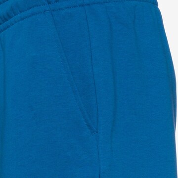 Jordan Regular Sporthose in Blau