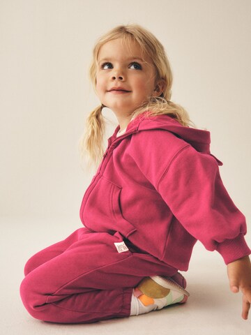 Next Tapered Pants in Pink