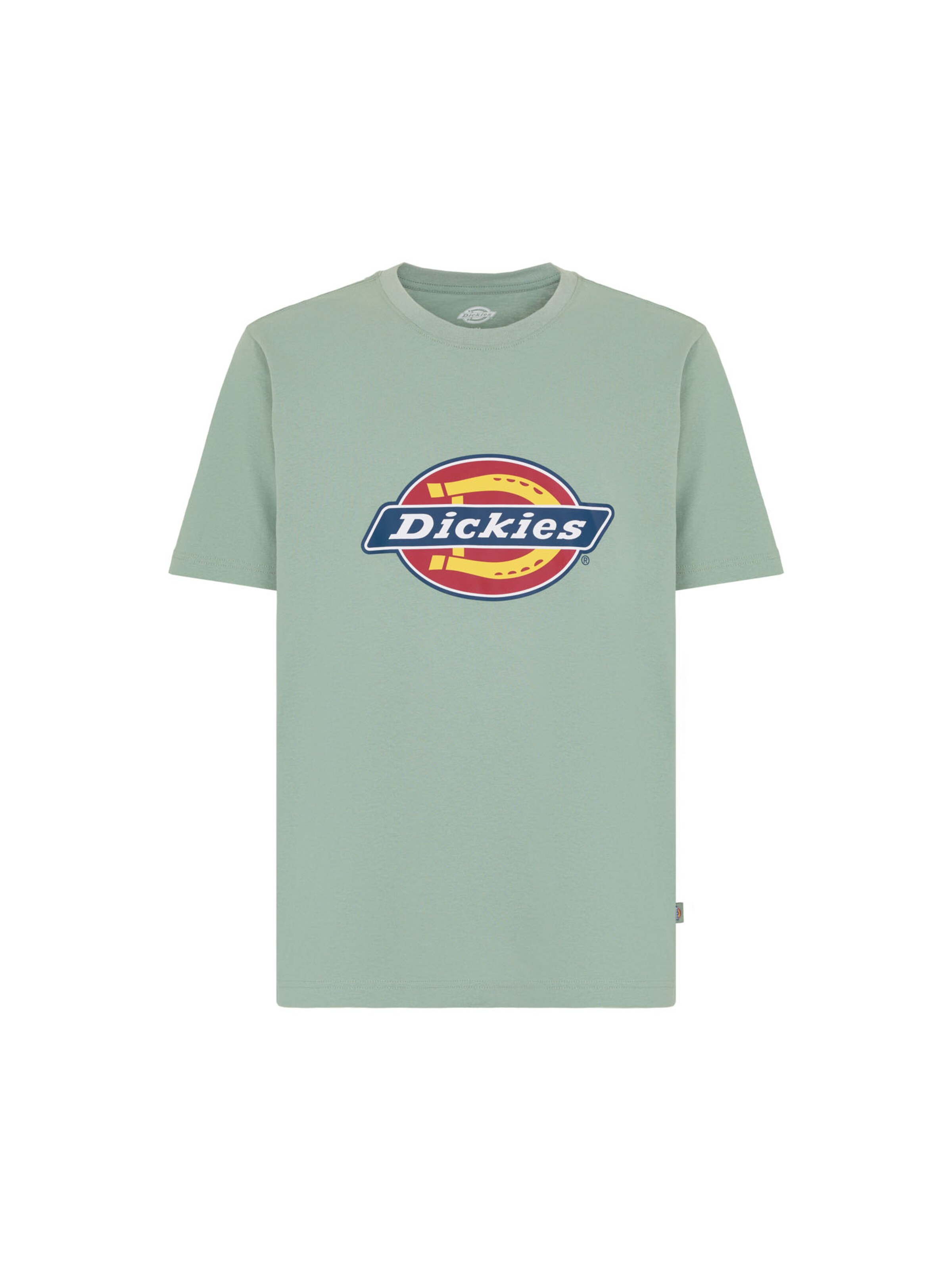 Maglietta 'Icon Logo' di DICKIES in verde: frontale