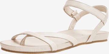 INUOVO Sandale in Beige: front
