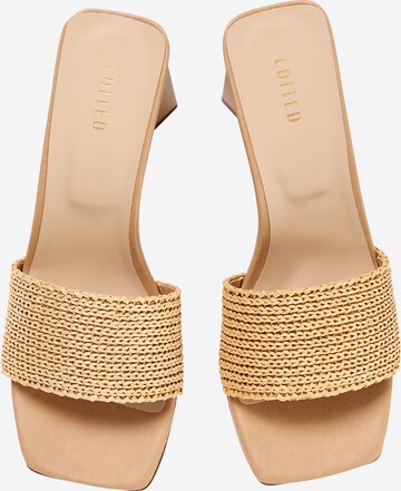 EDITED - Zapatos con plataforma 'Myha' en beige