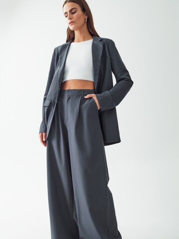 Calli Wide leg Pleat-Front Pants 'Katy' in Grey