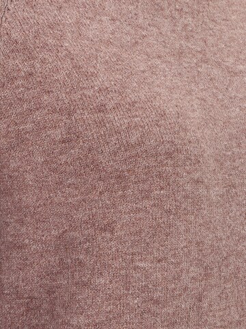 Only Petite Pullover 'LESLY' in Pink