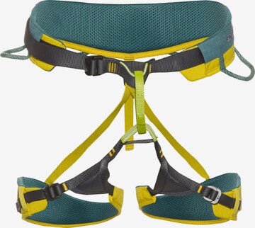 Edelrid Klettergurt 'Jay III' in Grün: predná strana