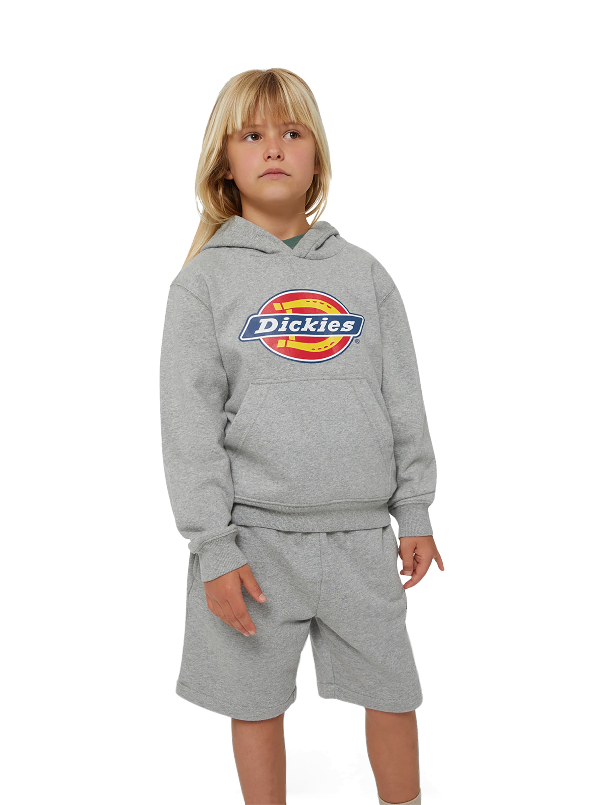DICKIES Sweatshirt i grå
