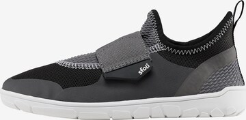 sfoli Sneakers in Grey: front
