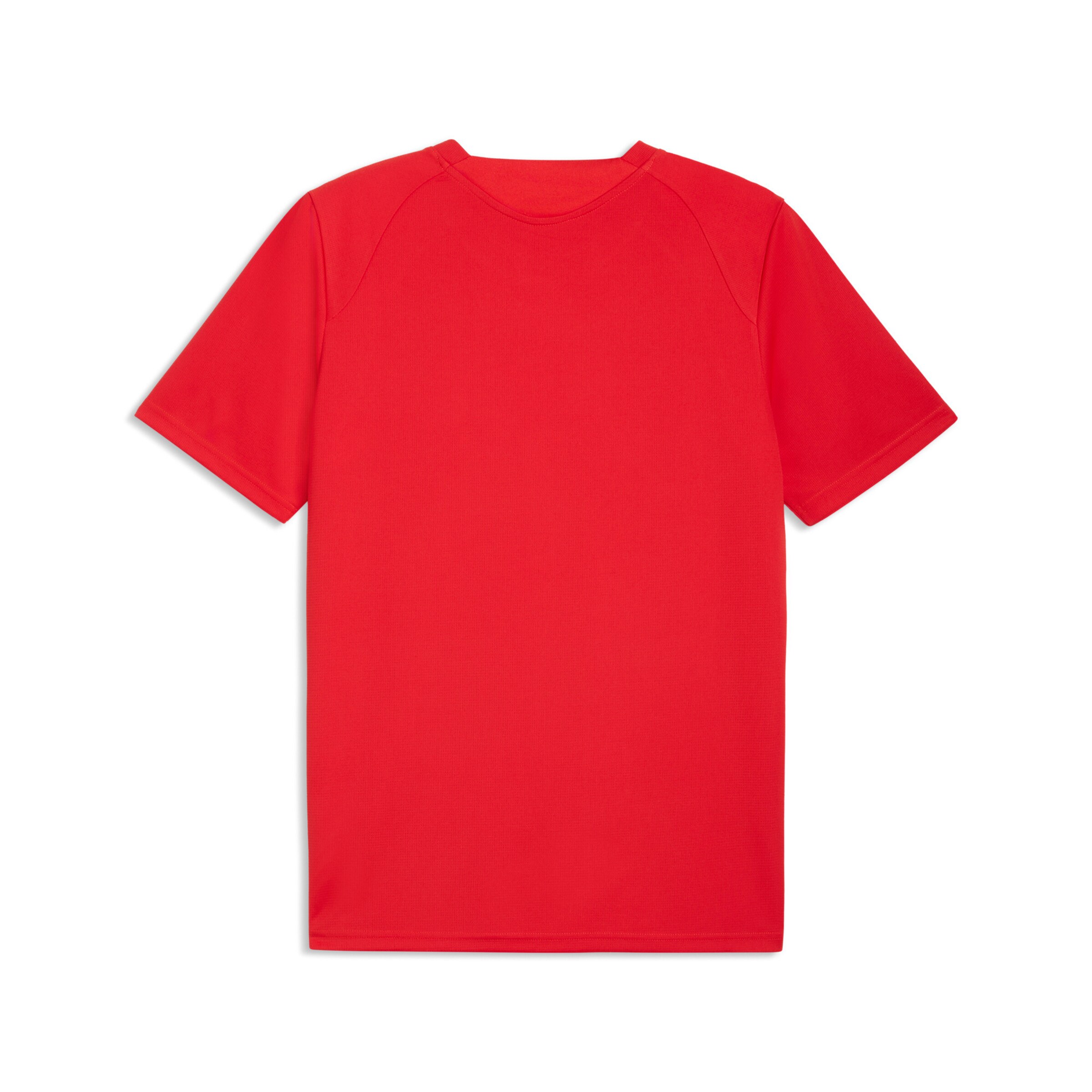 PUMA Regular Fit Funktionsshirt in Rot