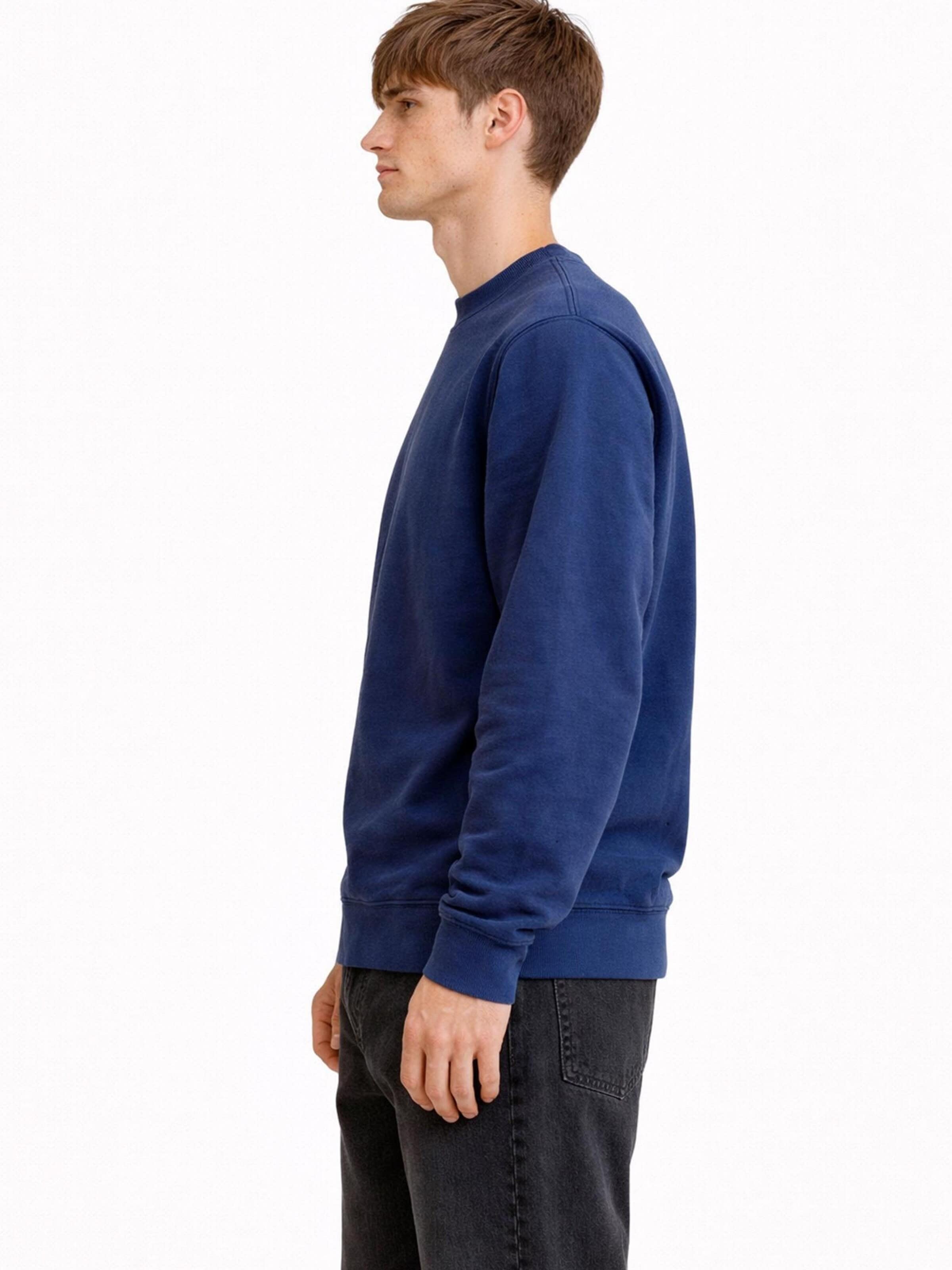 A Question Of (AQO) Sweatshirt 'Johannes' in Blauw