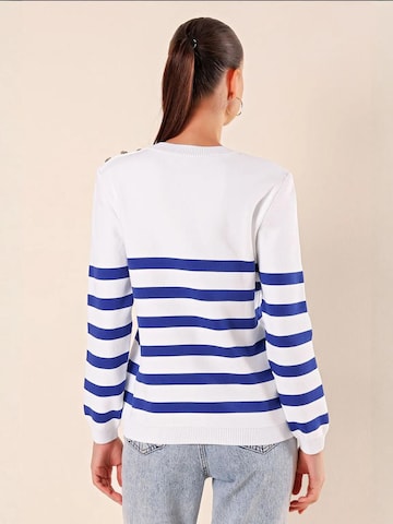 Bigdart Trui in Blauw