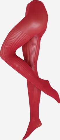 FALKE Strumpbyxa 'Prime Rib' i röd: framsida