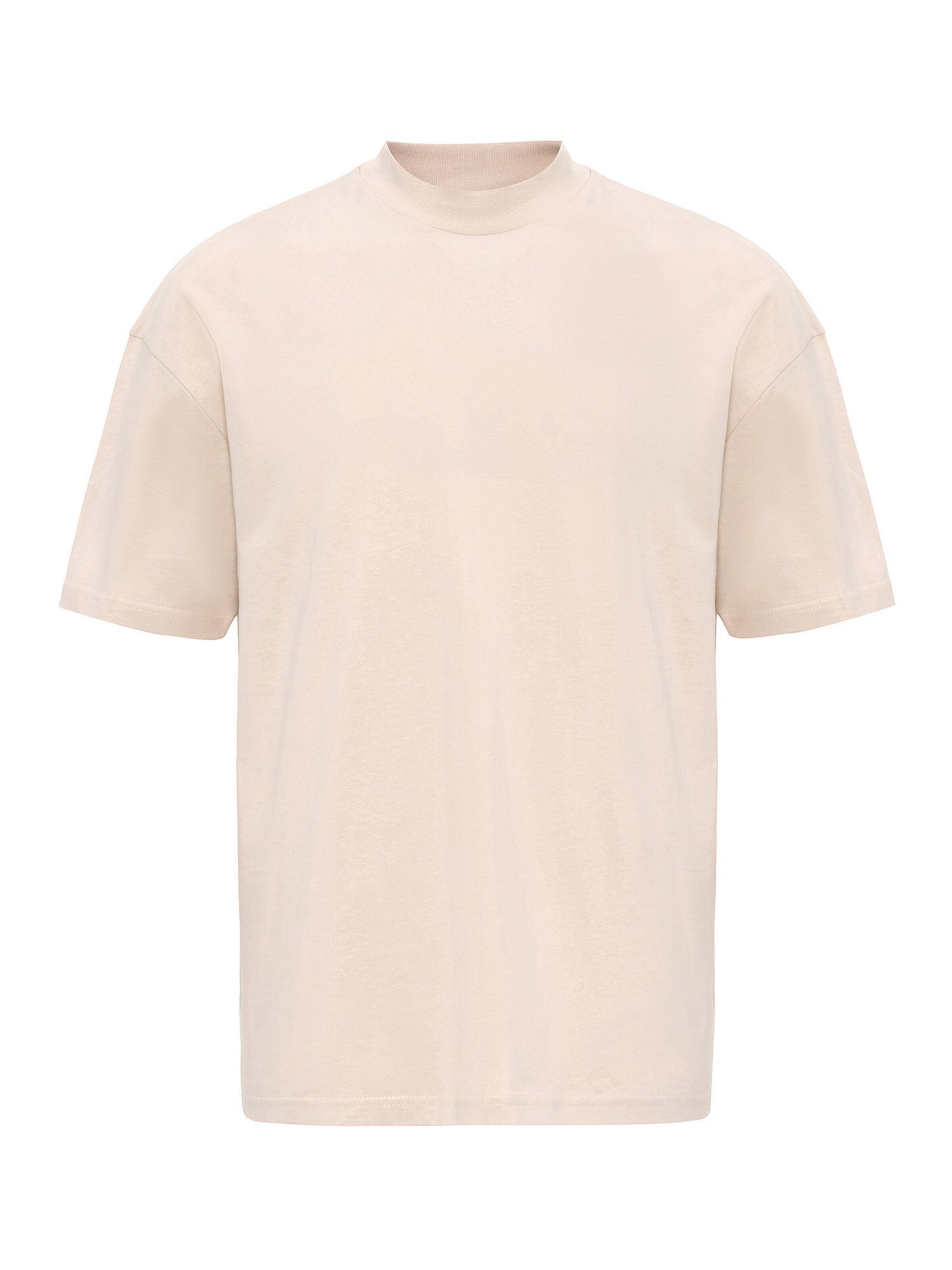 Antioch T-Shirt in Grau