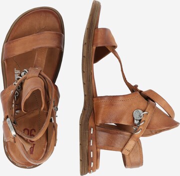 A.S.98 T-Bar Sandals 'MARE' in Brown