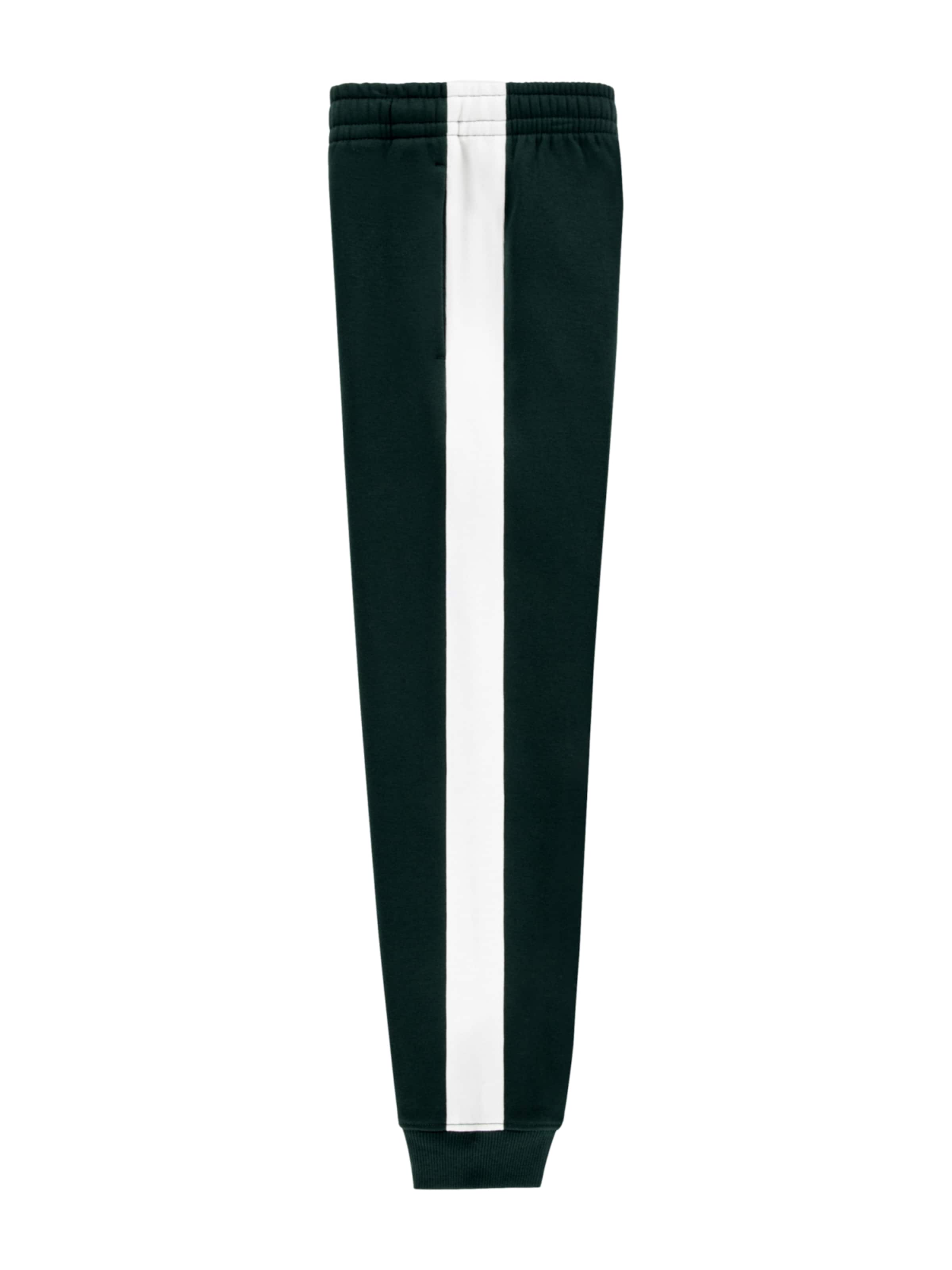 regular Pantaloni di LACOSTE in verde