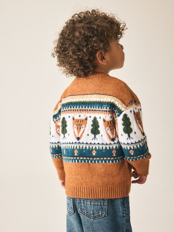 Next Trui in Bruin
