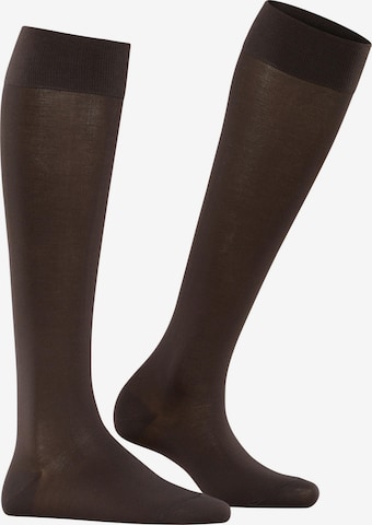FALKE Knee High Socks 'Cotton Touch' in Brown: front