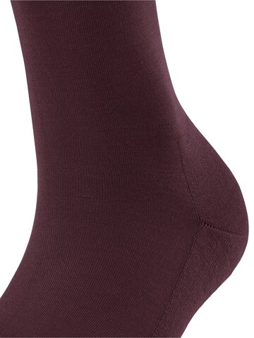 FALKE Kniestrümpfe 'ClimaWool'‌ in Rot