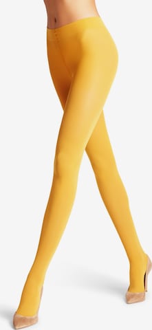 FALKE Tights 'Pure Matt' in Brown: front