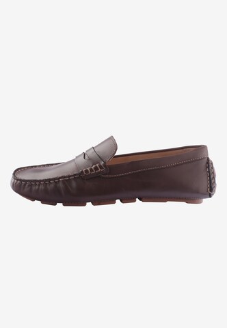 D.MoRo Shoes Classic Flats 'Farcar' in Brown