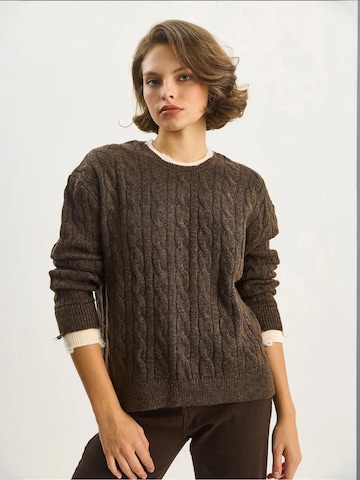 Bianco Lucci Pullover in Braun: Vorderseite