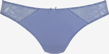 LASCANA Panty in Purple: front