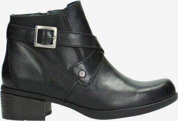 Wolky Stiefelette in Schwarz