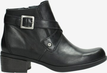 Wolky Ankle Boots in Black