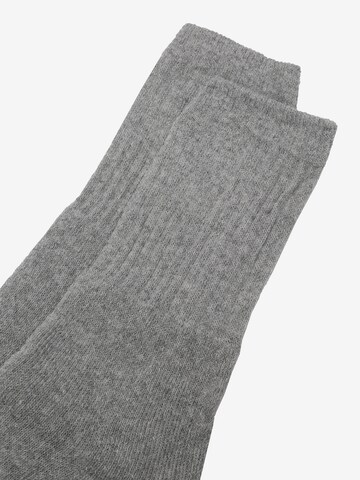 Albert Schäfer Socks '30er Pack' in Grey