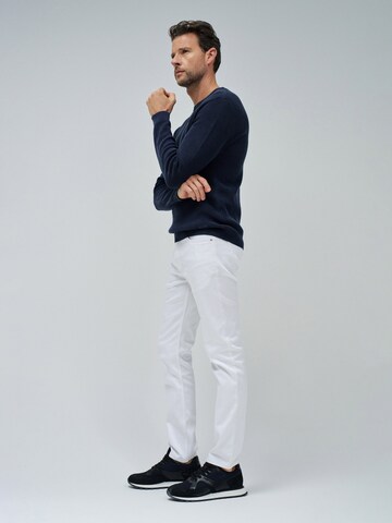 Salsa Jeans Trui in Blauw
