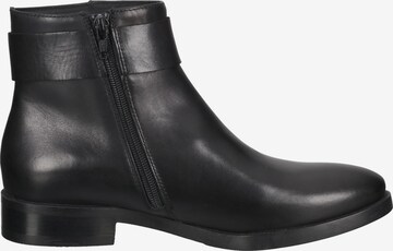 GEOX Stiefelette in Schwarz