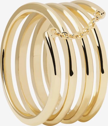 P D PAOLA Ring in Gold: front