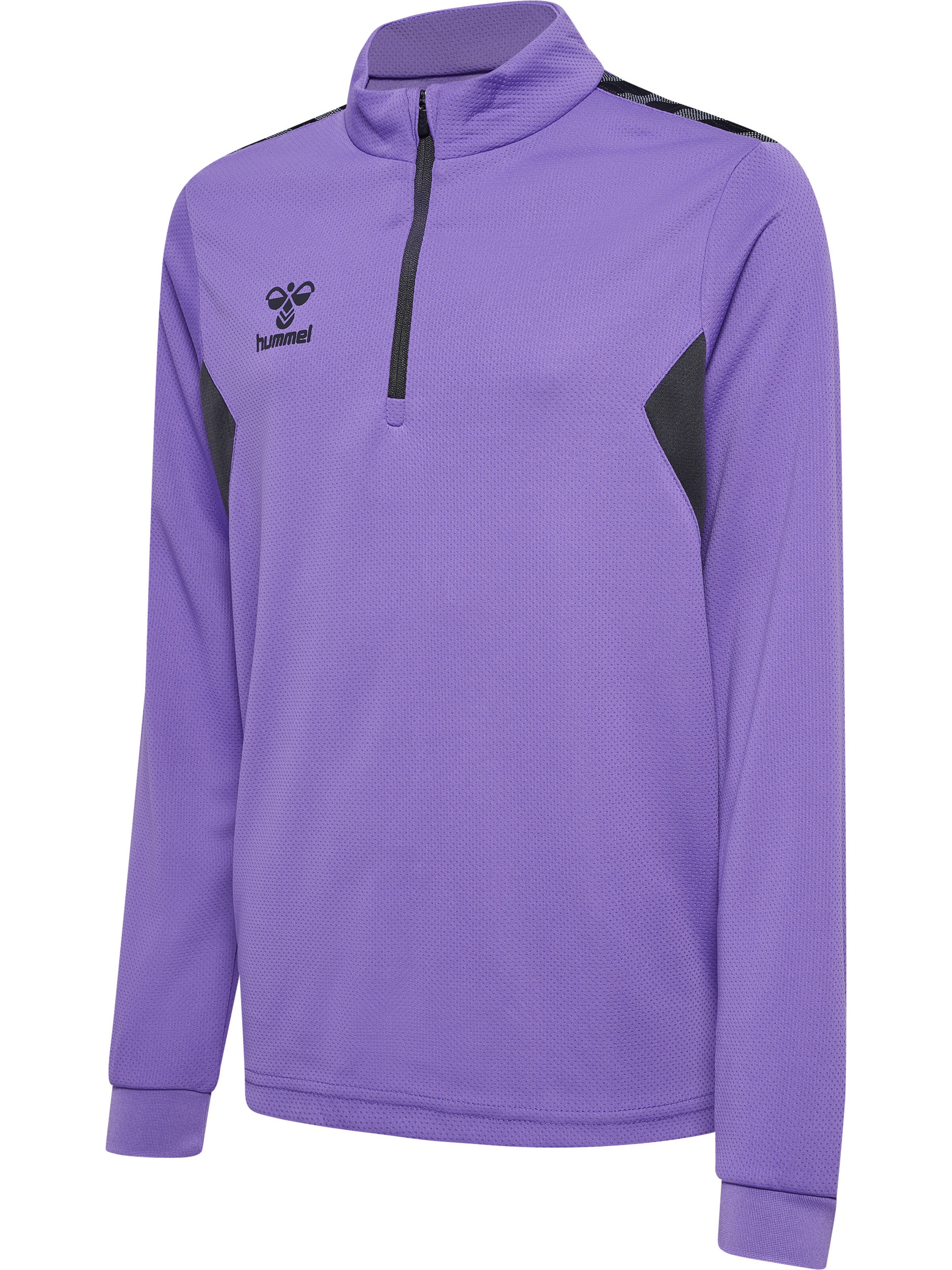 Hummel Athletic Sweatshirt 'AUTHENTIC' in Purple