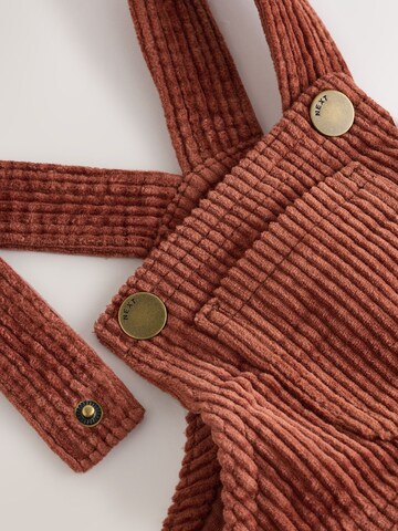 Next Skirt in Brown