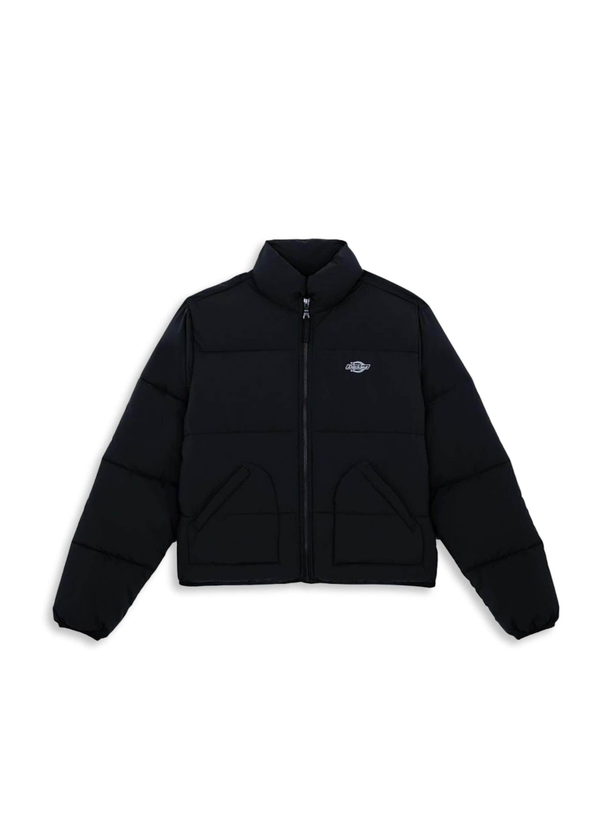 DICKIES Veste d’hiver 'SAMMERDALE' en noir, Vue avec produit