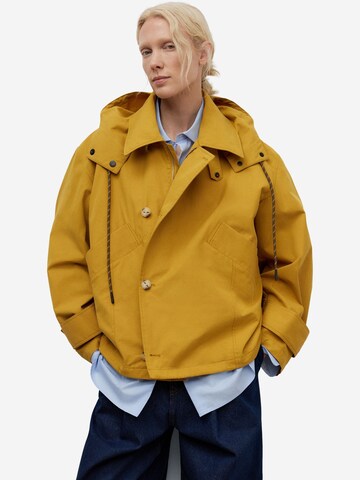 Adolfo Dominguez Between-season jacket in Yellow: front