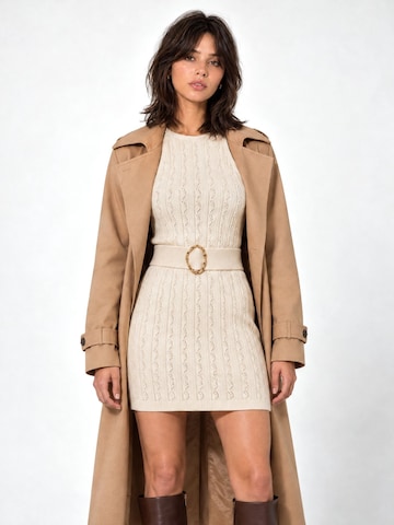RYVAN Knit dress 'Strickkleider' in White: front