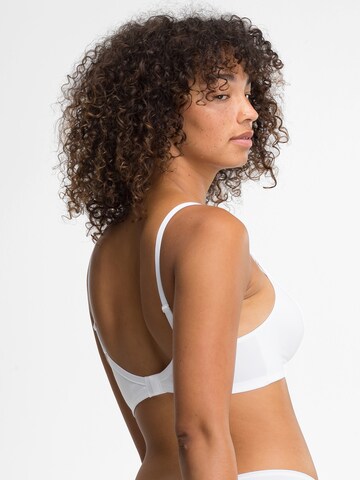 SPEIDEL Triangle Bra in White