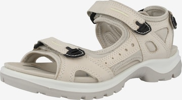 ECCO Trekkingsandaler 'Offroad' i beige: forside