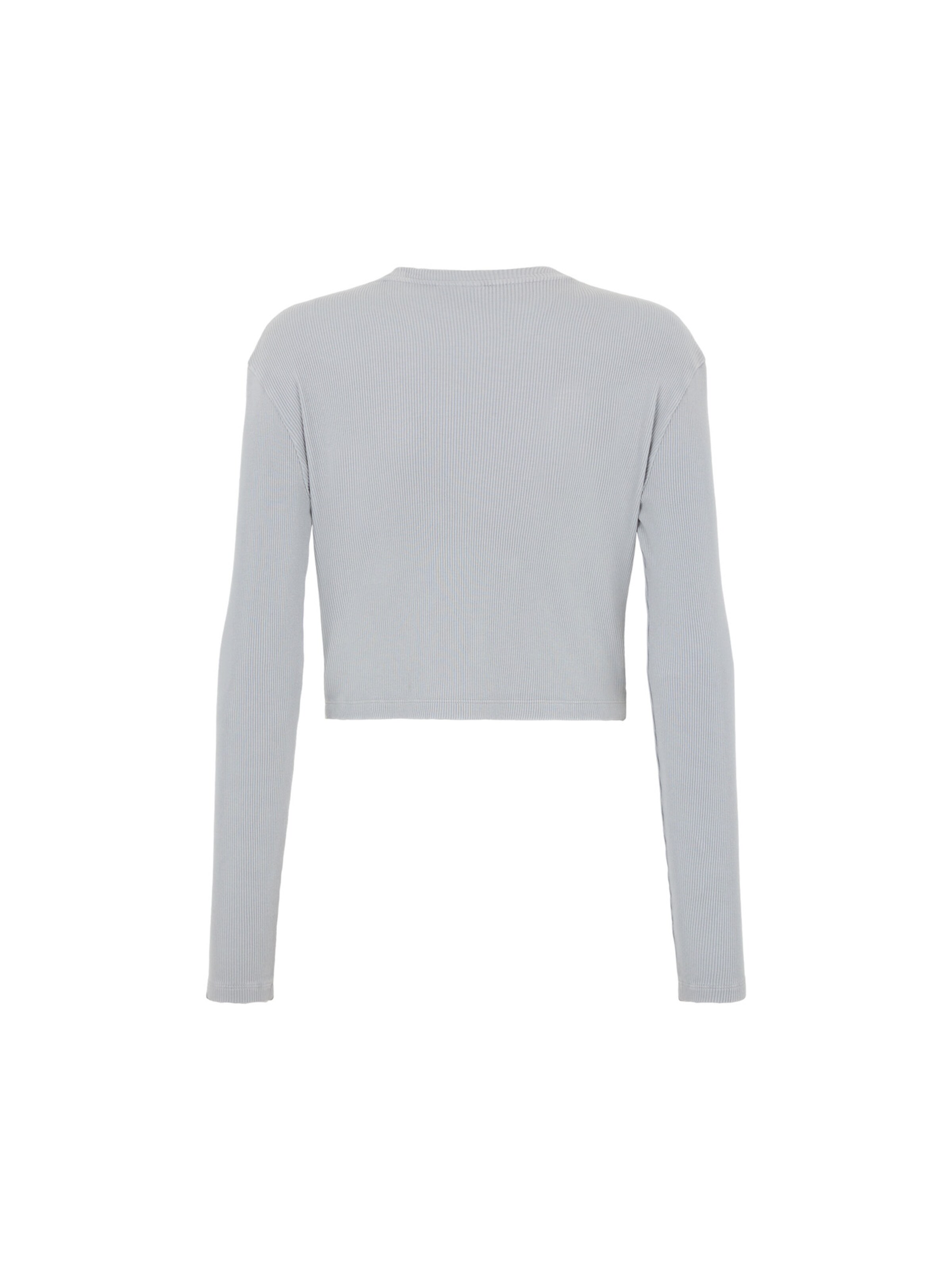 DICKIES Tričko 'Plentywood' - Sivá