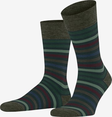 FALKE Socken 'Tinted Stripe' in Grün: Vorderseite