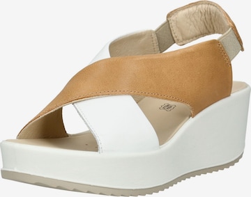 Sandalo di IGI&CO in marrone: frontale